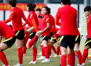 半岛体育网页版-非洲女足杯：热血对决，情感爆发