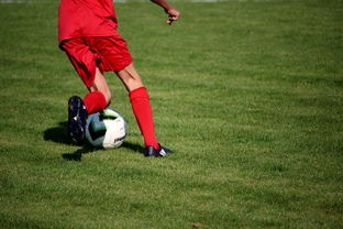 半岛体育app注册-冬奥场馆智能系统协助运动员热身训练，冬奥会设备